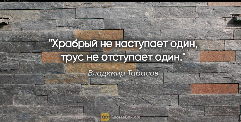 Владимир Тарасов цитата: "Храбрый не наступает один, трус не отступает один."