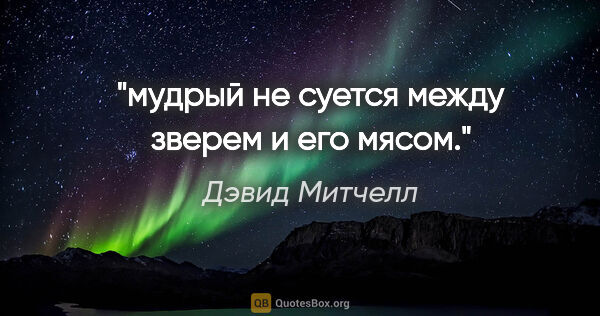 Дэвид Митчелл цитата: ""мудрый не суется между зверем и его мясом"."