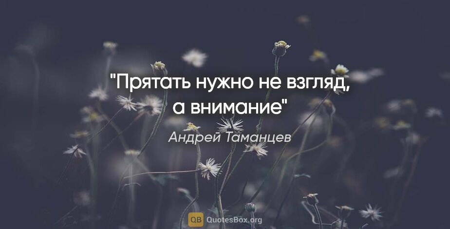 Андрей Таманцев цитата: "Прятать нужно не взгляд, а внимание"