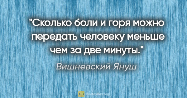 Вишневский Януш цитата: "Сколько боли и горя можно  передать человеку меньше чем за две..."