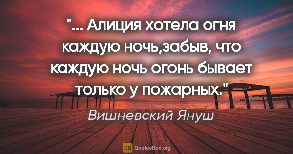 Вишневский Януш цитата: " Алиция хотела огня каждую ночь,забыв, что каждую ночь огонь..."