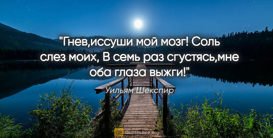 Уильям Шекспир цитата: "Гнев,иссуши мой мозг! Соль слез моих,

В семь раз сгустясь,мне..."