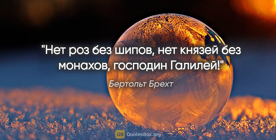 Бертольт Брехт цитата: "«Нет роз без шипов, нет князей без монахов, господин Галилей!»"