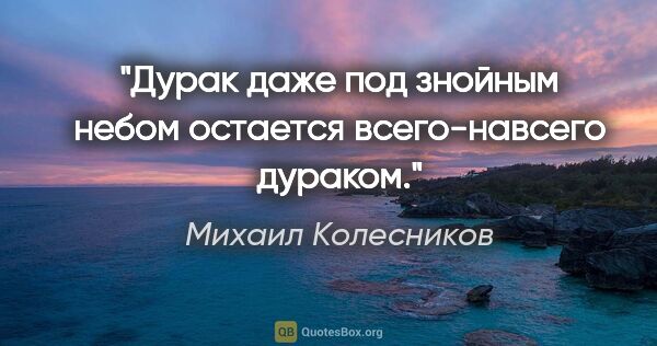Михаил Колесников цитата: "Дурак даже под знойным небом остается всего-навсего дураком."