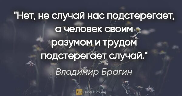 Владимир Брагин цитата: "Нет, не случай нас подстерегает, а человек своим разумом и..."