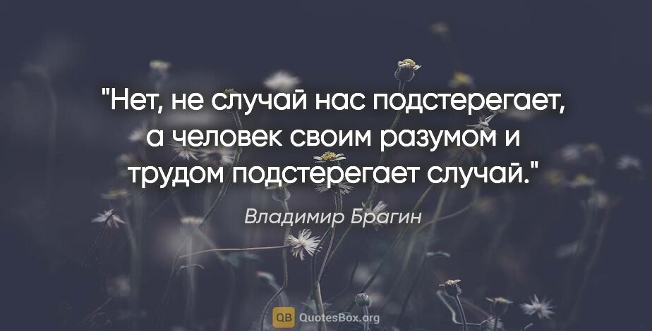 Владимир Брагин цитата: "Нет, не случай нас подстерегает, а человек своим разумом и..."
