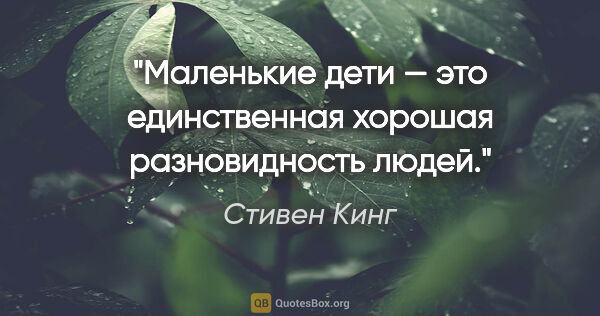 Стивен Кинг цитата: "Маленькие дети — это единственная хорошая разновидность людей."