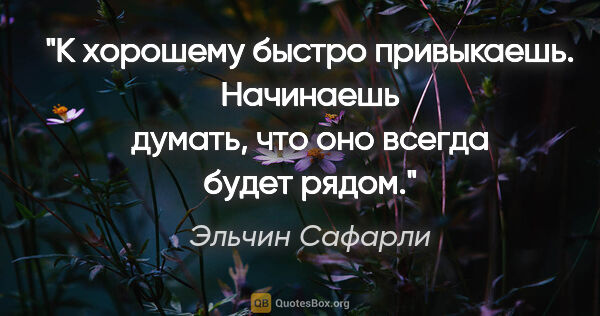 Эльчин Сафарли цитата: "К хорошему быстро привыкаешь. Начинаешь думать, что оно всегда..."