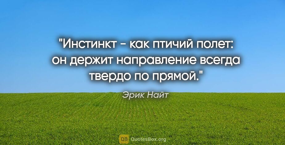 Эрик Найт цитата: ""Инстинкт - как птичий полет: он держит направление всегда..."