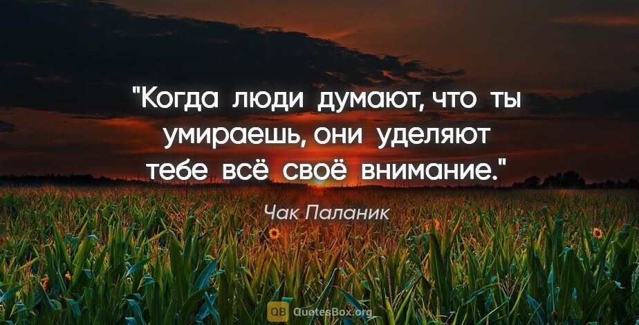 Чак Паланик цитата: "Когда  люди  думают, что  ты  умираешь, они  уделяют  тебе ..."