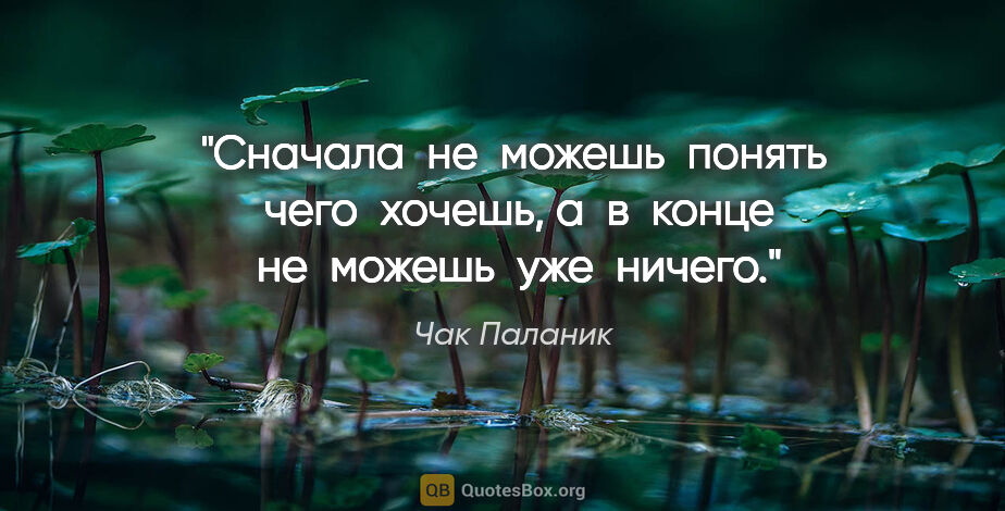 Чак Паланик цитата: "Сначала  не  можешь  понять  чего  хочешь, а  в  конце  не ..."