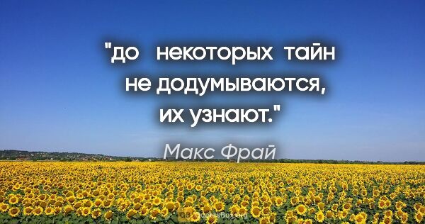 Макс Фрай цитата: "до   некоторых  тайн   не "додумываются", их узнают."