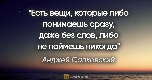 Анджей Сапковский цитата: "Есть вещи, которые либо понимаешь сразу, даже без слов, либо..."