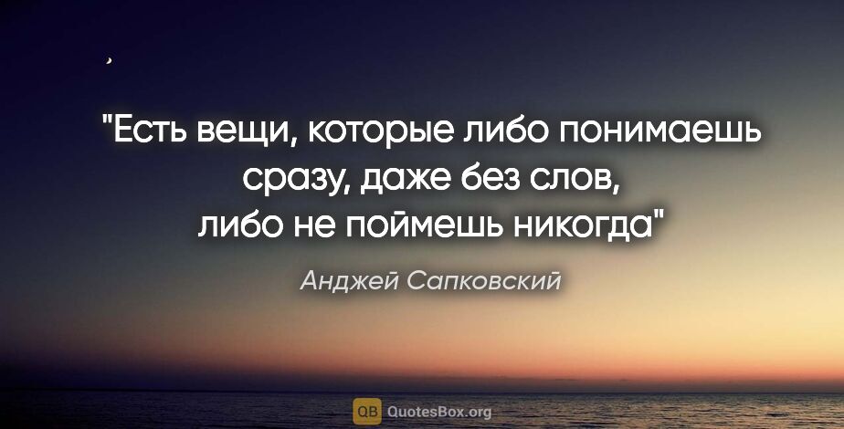 Анджей Сапковский цитата: "Есть вещи, которые либо понимаешь сразу, даже без слов, либо..."