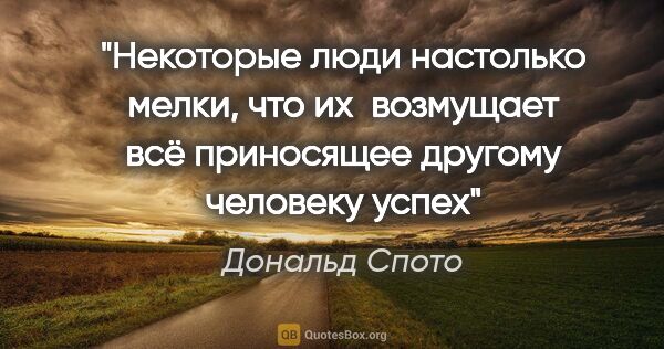 Дональд Спото цитата: "Некоторые люди настолько мелки, что их  возмущает всё..."