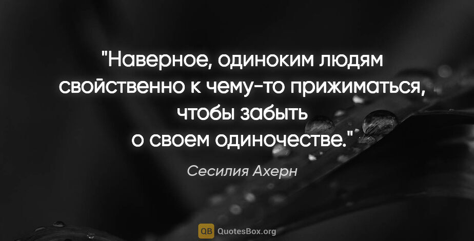 Сесилия Ахерн цитата: "Наверное, одиноким людям свойственно к чему-то прижиматься,..."