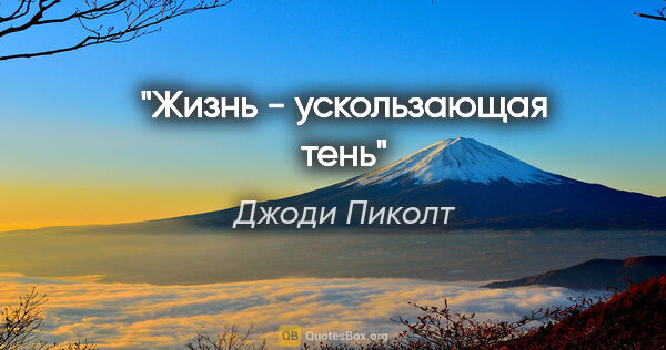 Джоди Пиколт цитата: ""Жизнь - ускользающая тень""