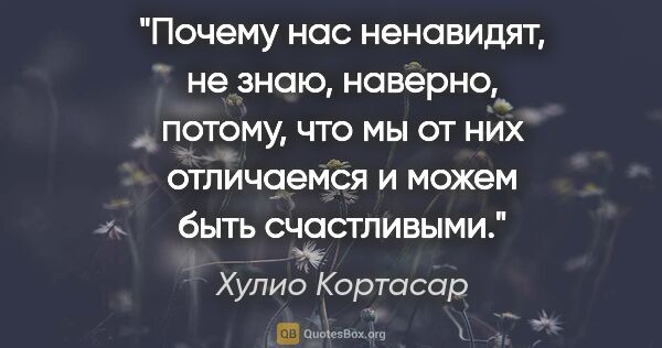 Хулио Кортасар цитата: "Почему нас ненавидят, не знаю, наверно, потому, что мы от них..."