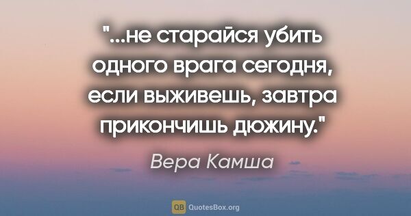 Вера Камша цитата: "не старайся убить одного врага сегодня, если выживешь, завтра..."