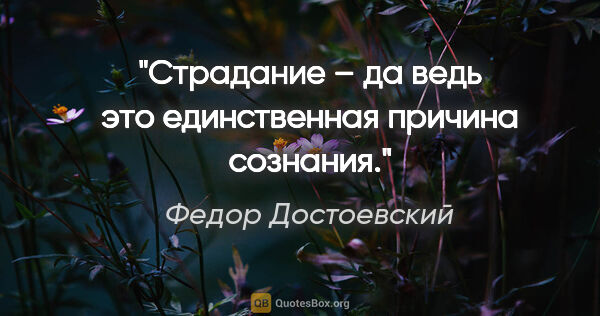Федор Достоевский цитата: "Страдание – да ведь это единственная причина сознания."