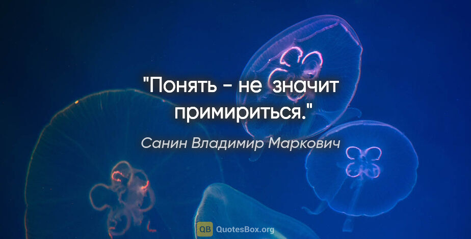 Санин Владимир Маркович цитата: "Понять - не  значит  примириться."