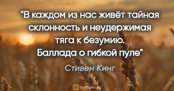 Стивен Кинг цитата: "В каждом из нас живёт тайная склонность и неудержимая тяга к..."