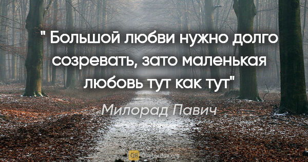 Милорад Павич цитата: " Большой любви нужно долго созревать, зато маленькая любовь..."