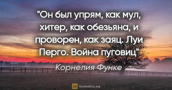 Корнелия Функе цитата: "Он был упрям, как мул, хитер, как обезьяна, и проворен, как..."