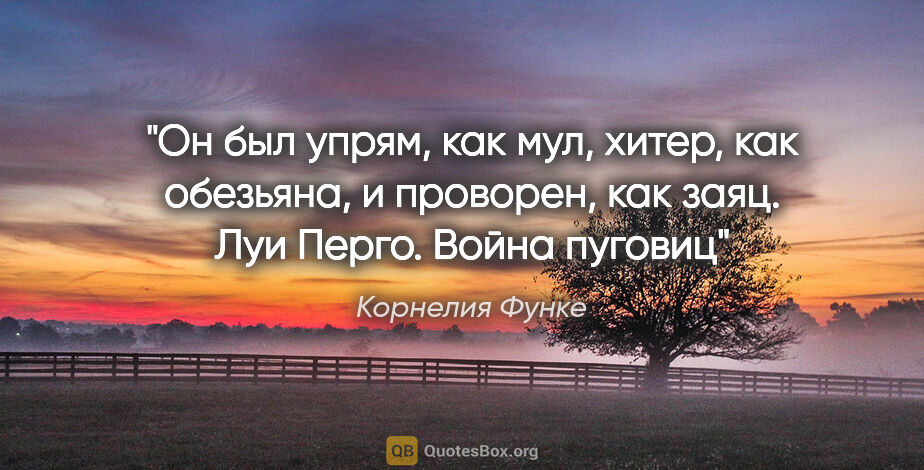 Корнелия Функе цитата: "Он был упрям, как мул, хитер, как обезьяна, и проворен, как..."