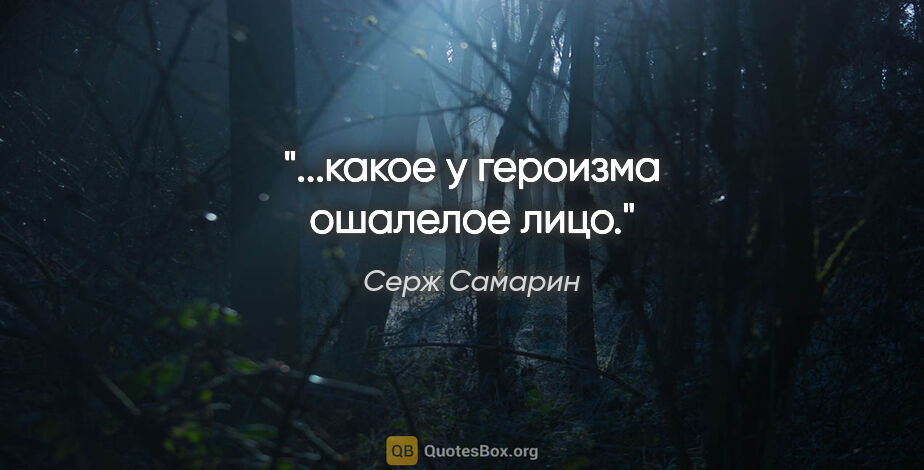 Серж Самарин цитата: "...какое у героизма ошалелое лицо."