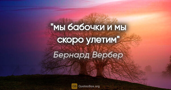 Бернард Вербер цитата: "мы бабочки и мы скоро улетим"