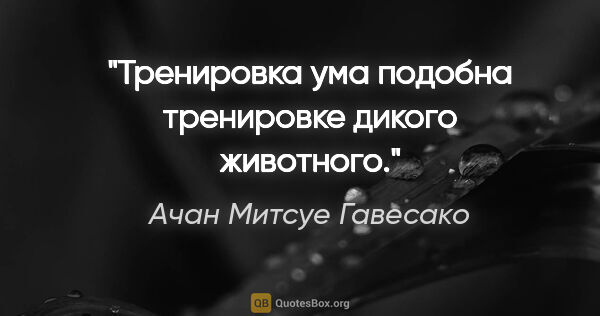 Ачан Митсуе Гавесако цитата: "Тренировка ума подобна тренировке дикого животного."