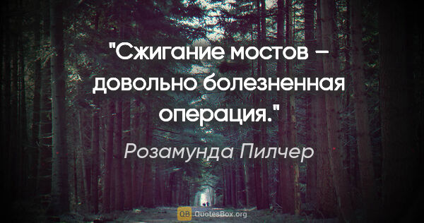 Розамунда Пилчер цитата: "Сжигание моcтов – довольно болезненная опеpация."