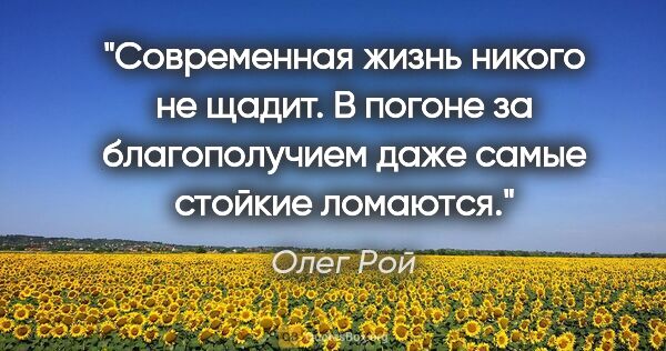 Олег Рой цитата: "Современная жизнь никого не щадит. В погоне за благополучием..."