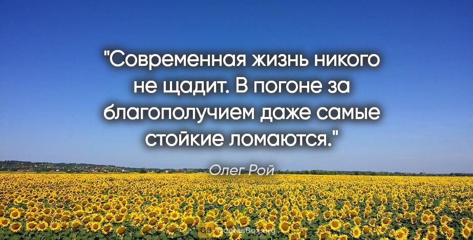 Олег Рой цитата: "Современная жизнь никого не щадит. В погоне за благополучием..."