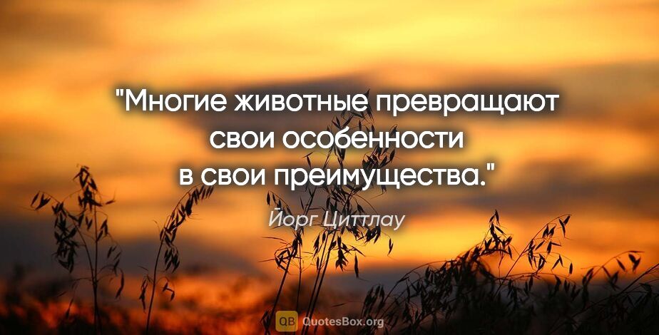 Йорг Циттлау цитата: "Многие животные превращают свои особенности в свои преимущества."