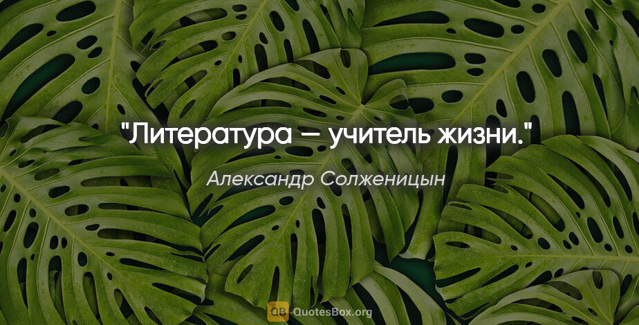Александр Солженицын цитата: "Литература — учитель жизни."