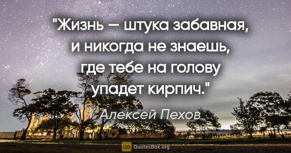 Алексей Пехов цитата: "Жизнь — штука забавная, и никогда не знаешь, где тебе на..."