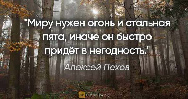 Алексей Пехов цитата: "Миру нужен огонь и стальная пята, иначе он быстро придёт в..."