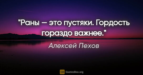 Алексей Пехов цитата: "Раны — это пустяки. Гордость гораздо важнее."