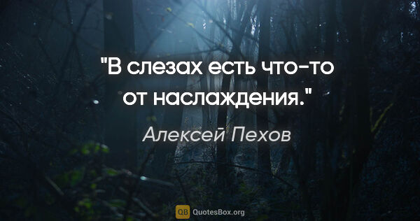 Алексей Пехов цитата: "В слезах есть что-то от наслаждения."