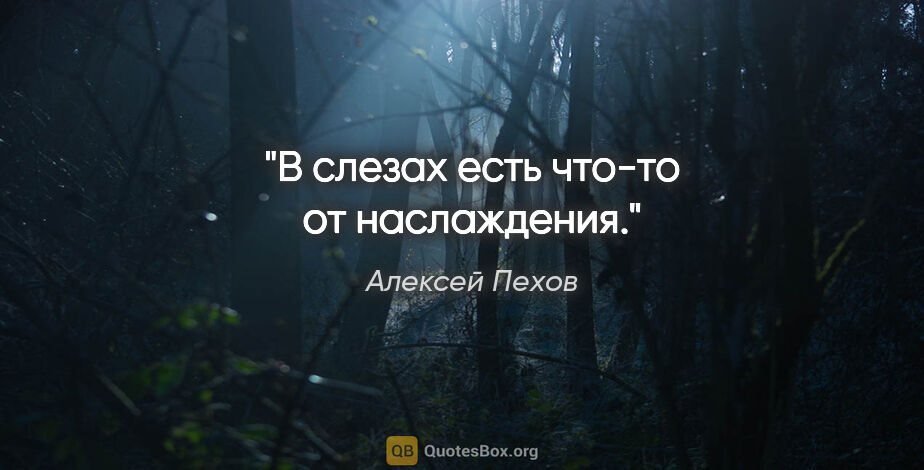 Алексей Пехов цитата: "В слезах есть что-то от наслаждения."