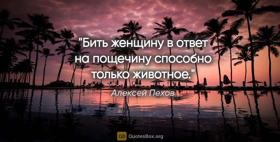 Алексей Пехов цитата: "Бить женщину в ответ на пощечину способно только животное."