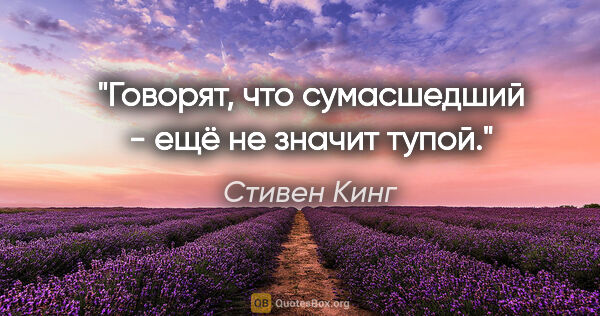 Стивен Кинг цитата: "Говорят, что сумасшедший - ещё не значит тупой."