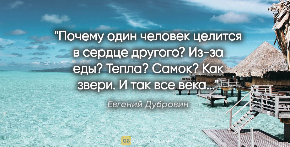 Евгений Дубровин цитата: "Почему один человек целится в сердце другого? Из-за еды?..."
