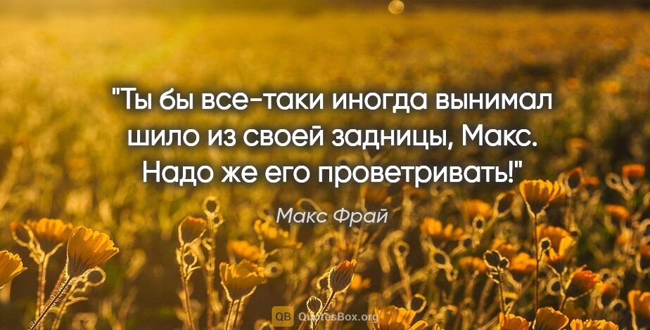 Макс Фрай цитата: "Ты бы все-таки иногда вынимал шило из своей задницы, Макс...."