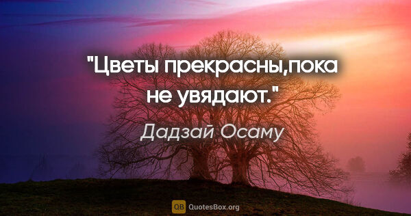 Дадзай Осаму цитата: "Цветы прекрасны,пока не увядают."