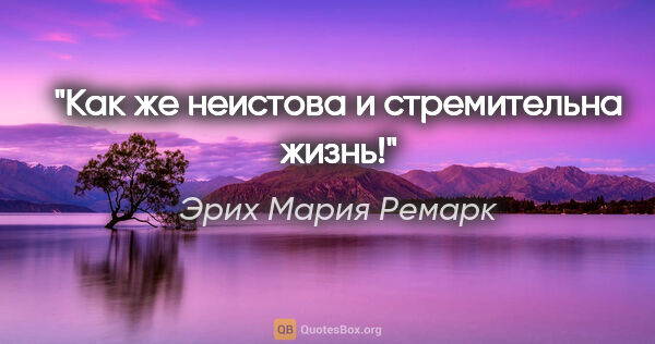 Эрих Мария Ремарк цитата: "Как же неистова и стремительна жизнь!"