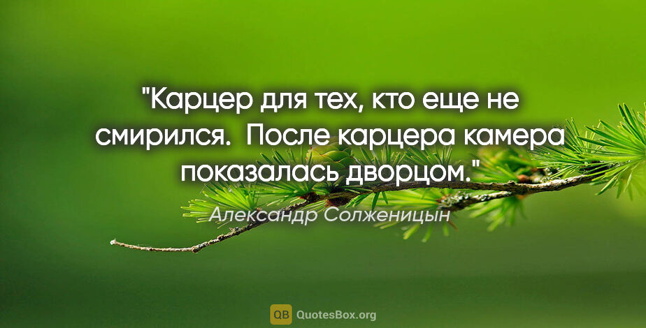Александр Солженицын цитата: "Карцер для тех, кто еще не смирился.  После карцера камера..."