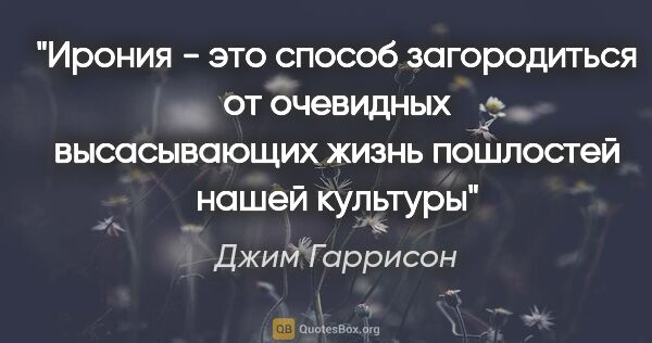 Джим Гаррисон цитата: "Ирония - это способ загородиться от очевидных высасывающих..."